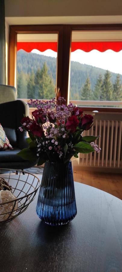 Ferienwohnung Tannenballett Im Schwarzwald Baiersbronn Eksteriør bilde