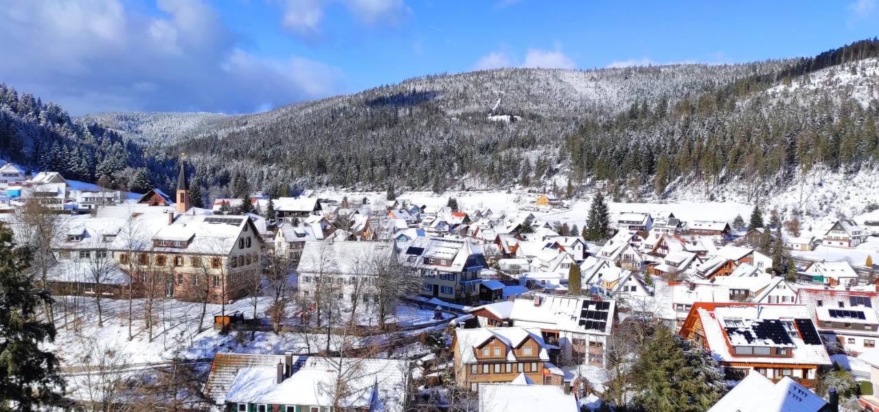 Ferienwohnung Tannenballett Im Schwarzwald Baiersbronn Eksteriør bilde