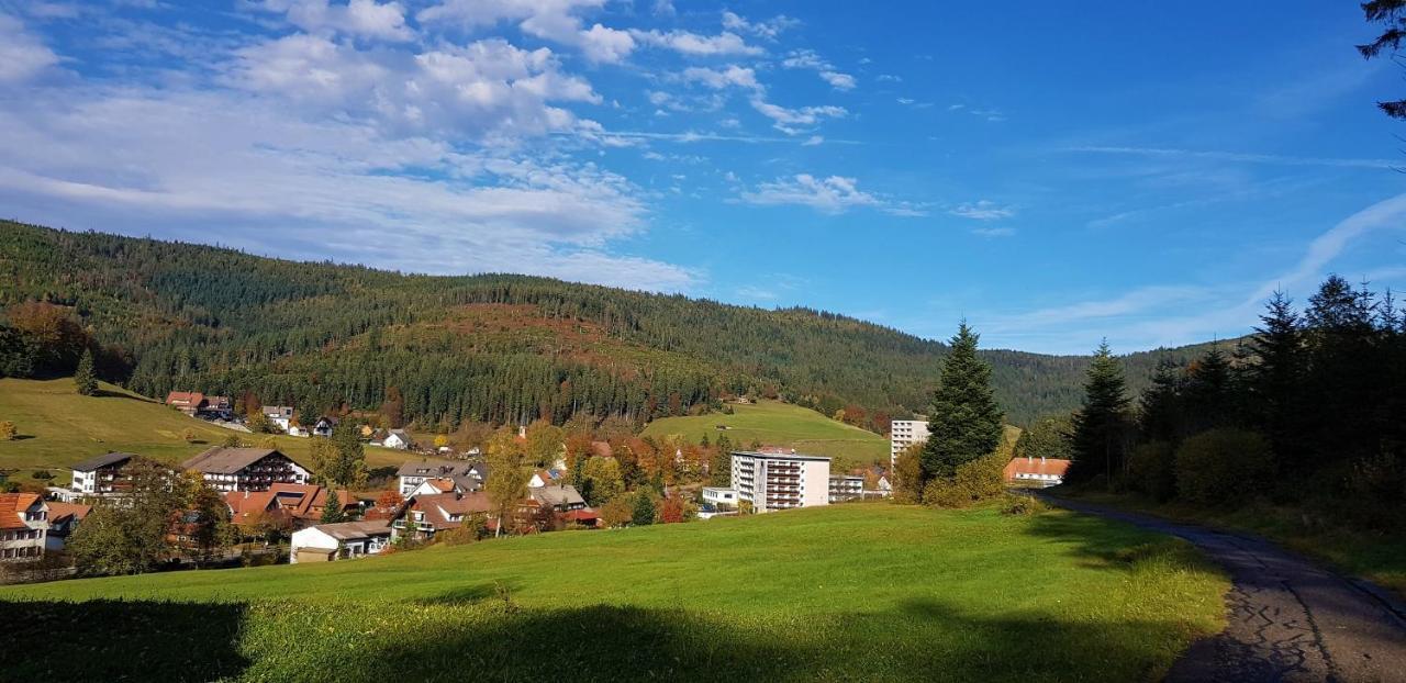 Ferienwohnung Tannenballett Im Schwarzwald Baiersbronn Eksteriør bilde