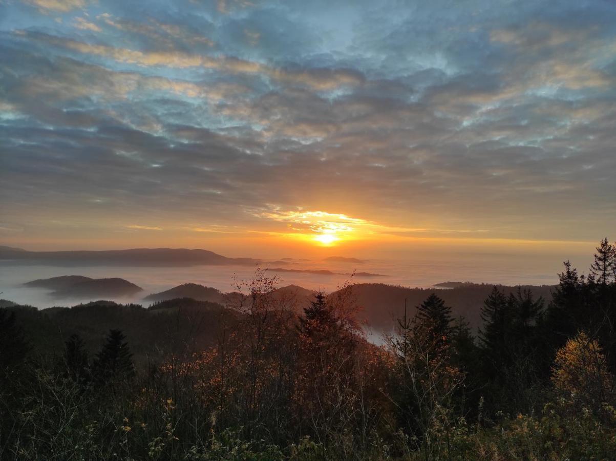 Ferienwohnung Tannenballett Im Schwarzwald Baiersbronn Eksteriør bilde