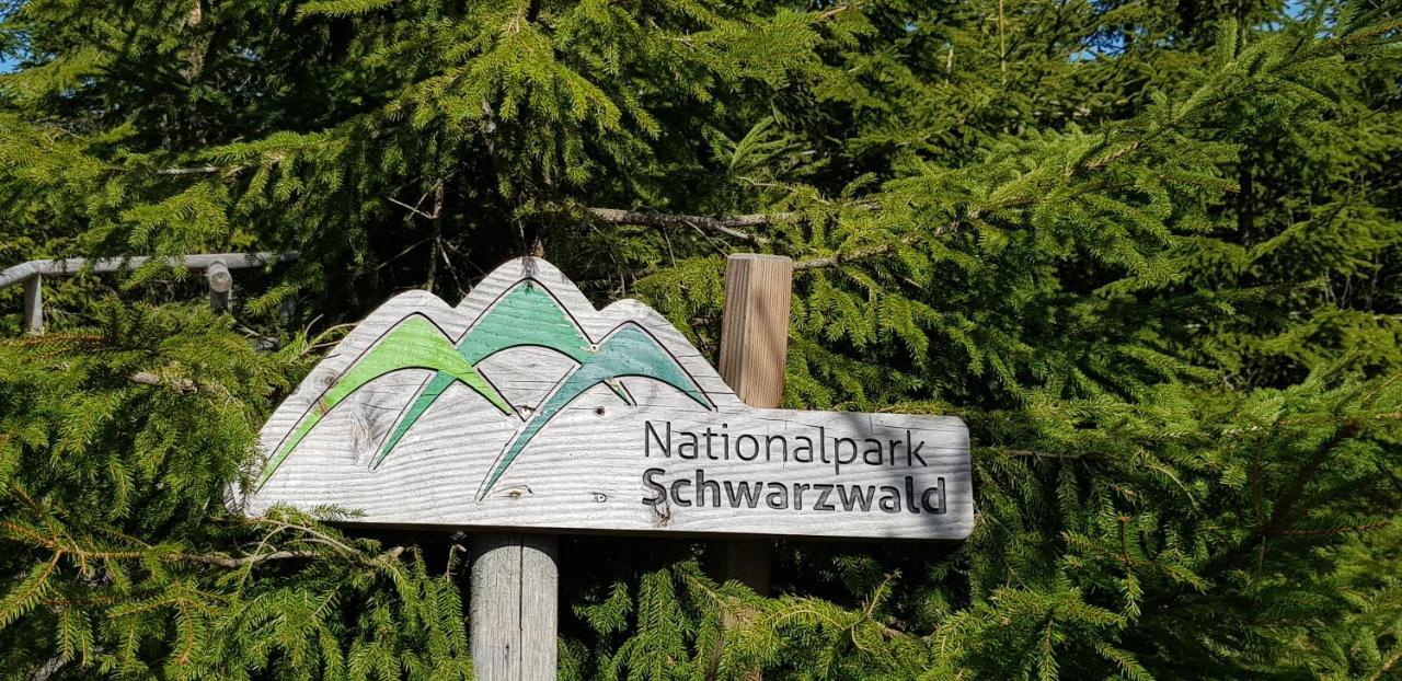 Ferienwohnung Tannenballett Im Schwarzwald Baiersbronn Eksteriør bilde