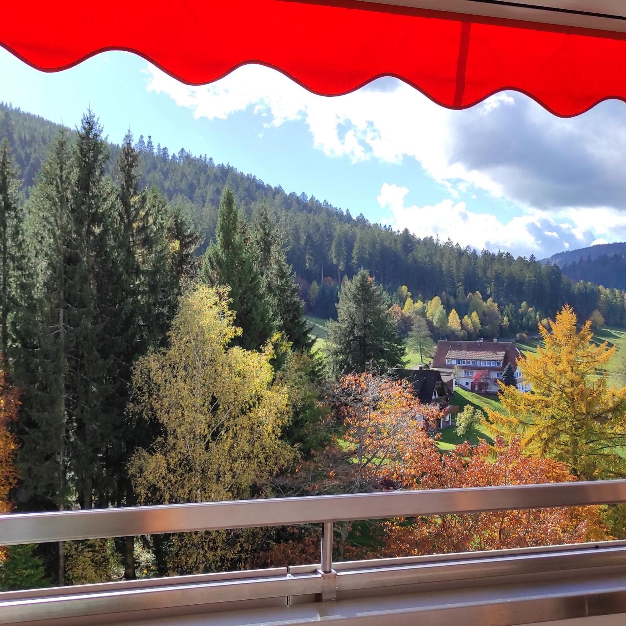Ferienwohnung Tannenballett Im Schwarzwald Baiersbronn Eksteriør bilde