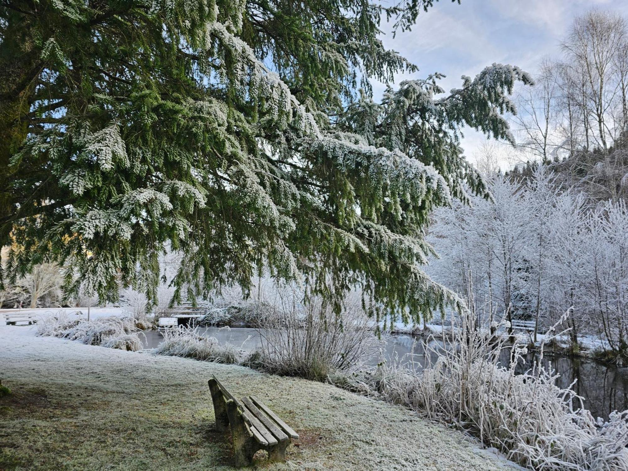 Ferienwohnung Tannenballett Im Schwarzwald Baiersbronn Eksteriør bilde